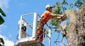 Why Hiring an Experienced electrician-austin Is Essential for Safety and Quality