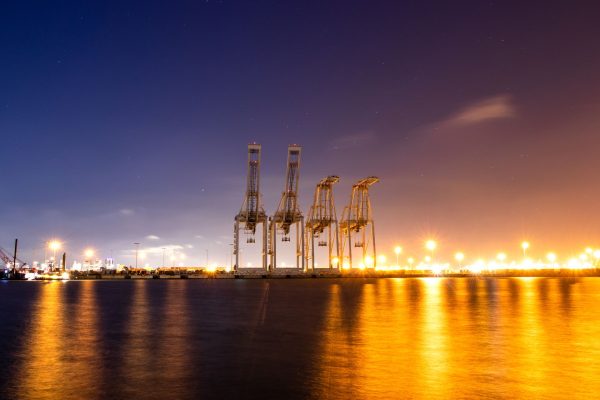 Vadhavan Port project: The Worst Ecological Risk in Maharashtra